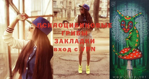 дурь Алзамай